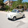 Montevago 2010 (216)